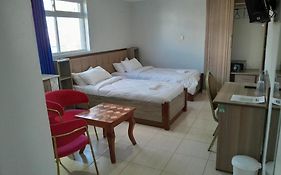 Equine Hotel